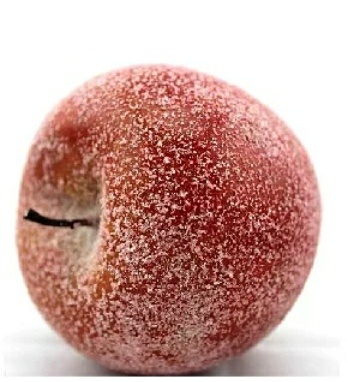 Дикие дрожжи на яблоке