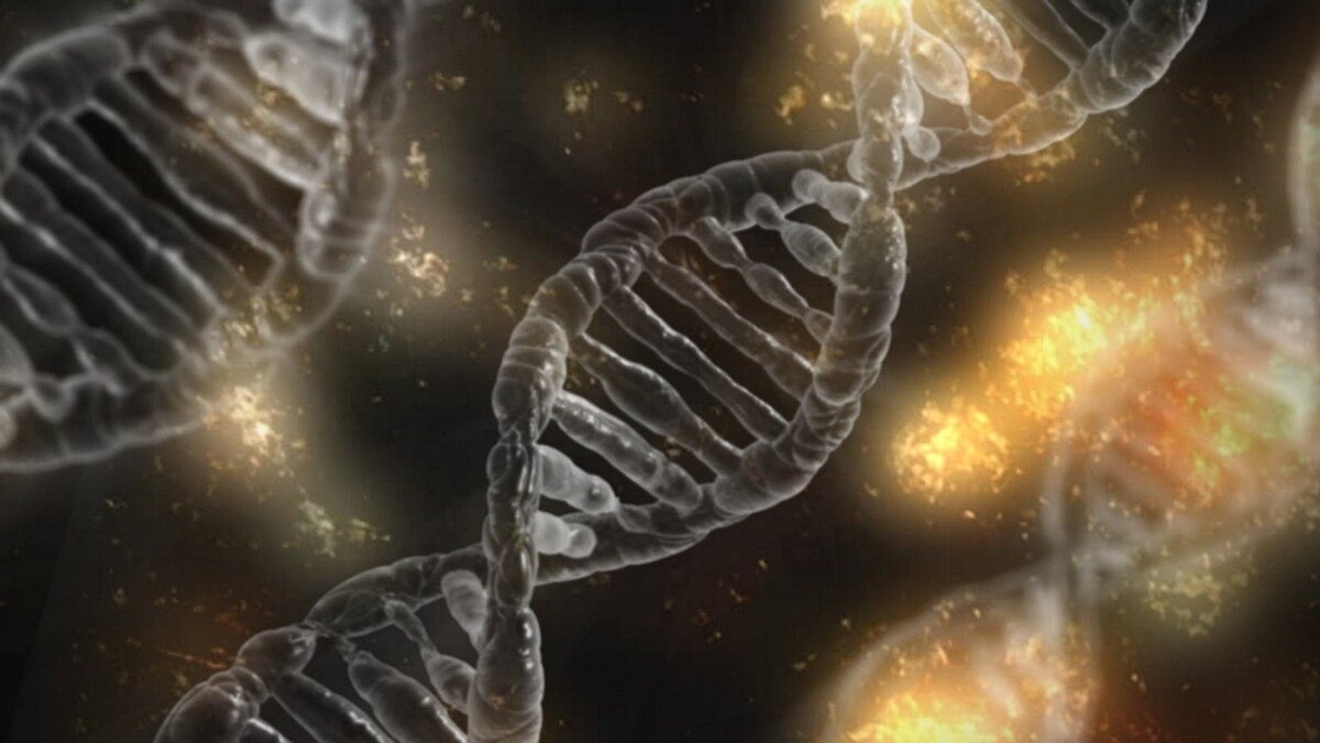 Изображение DNA с сайта Pixabay