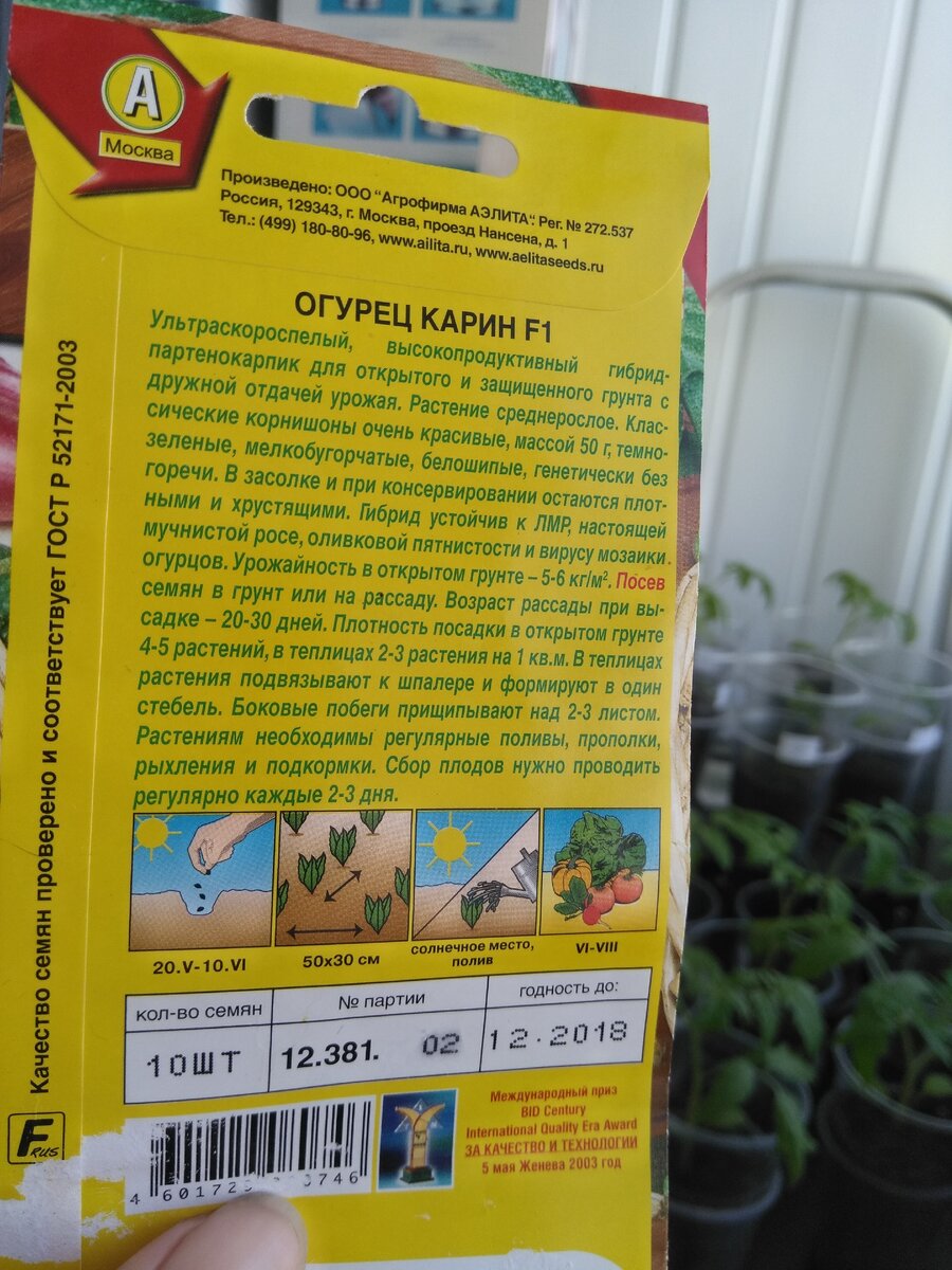 Фото автора и все далее.