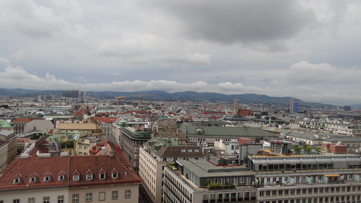 Вена с собора Святого Стефана