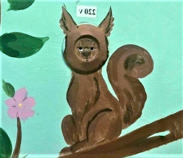 В публикации использованы фото из открытых источников