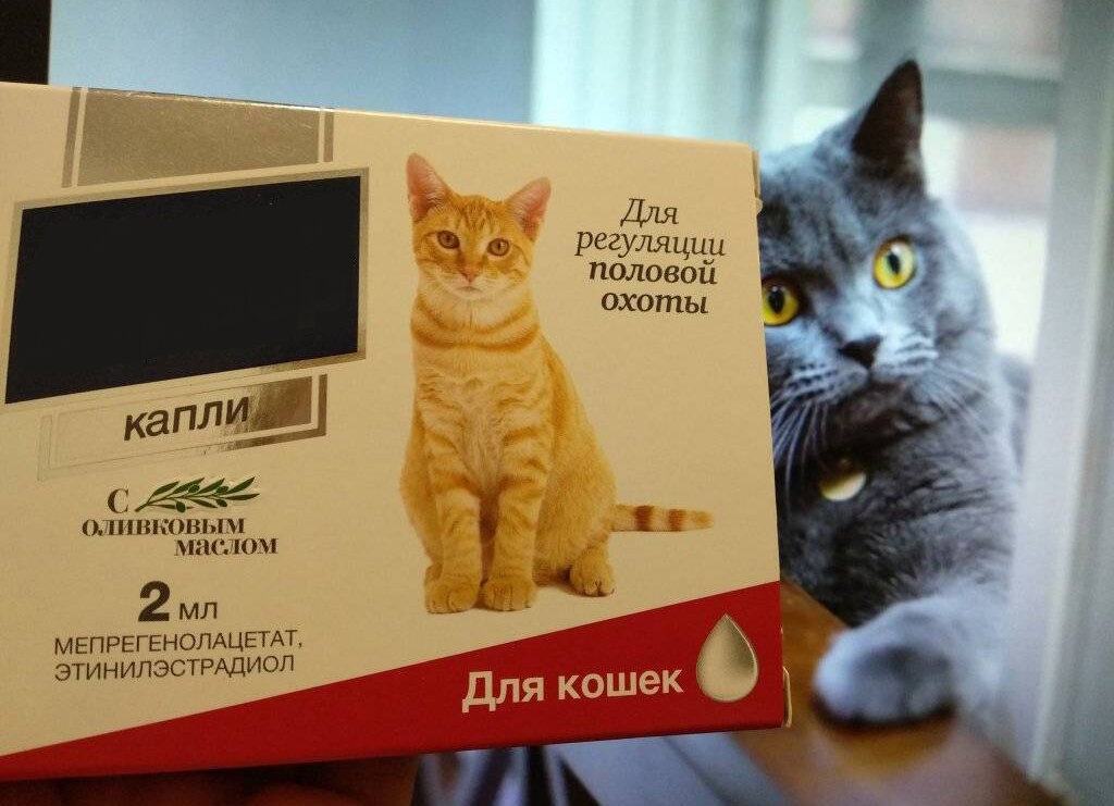 эти самые...