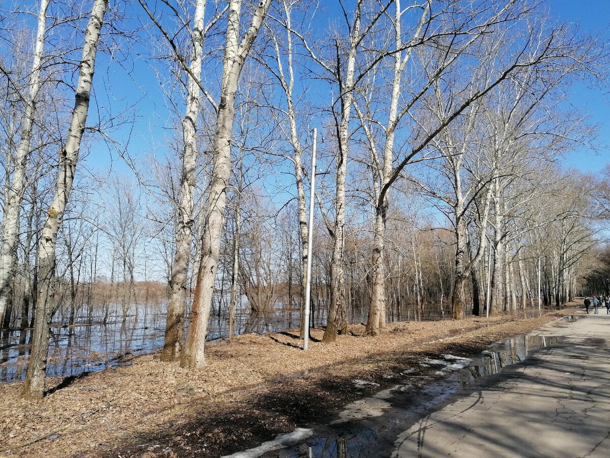 Дорога к озеру Орешек, Ока вышла из берегов и затопила газоны.