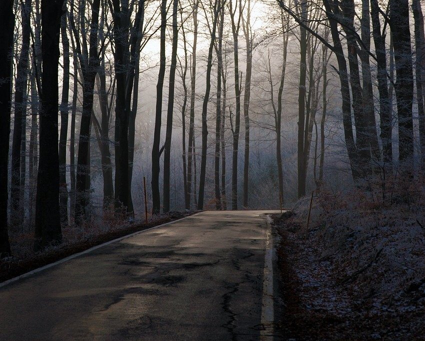 Утро. Дорожка. Фото с сайта pixabay.com
