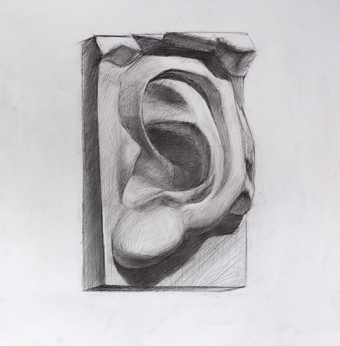 Рисунок Татьяны Зуевой.