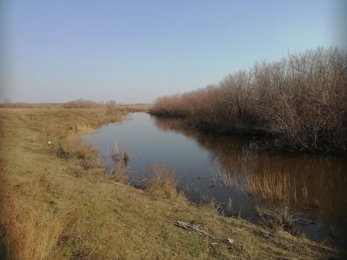 Река в нашем огороде. Юргамыш | С бухты-барахты или жили были... | Дзен