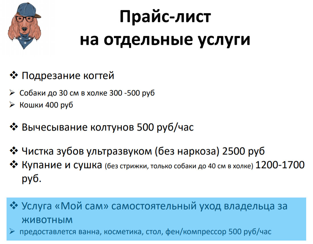 Самомойка для собак. Полезная услуга или каприз владельцев | Заметки  женщины с ТТ | Дзен