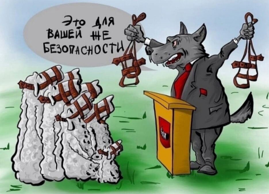 Яндекс-картинки.