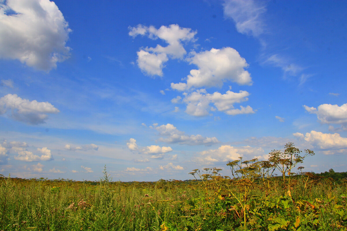 небо и облака - личный архив
