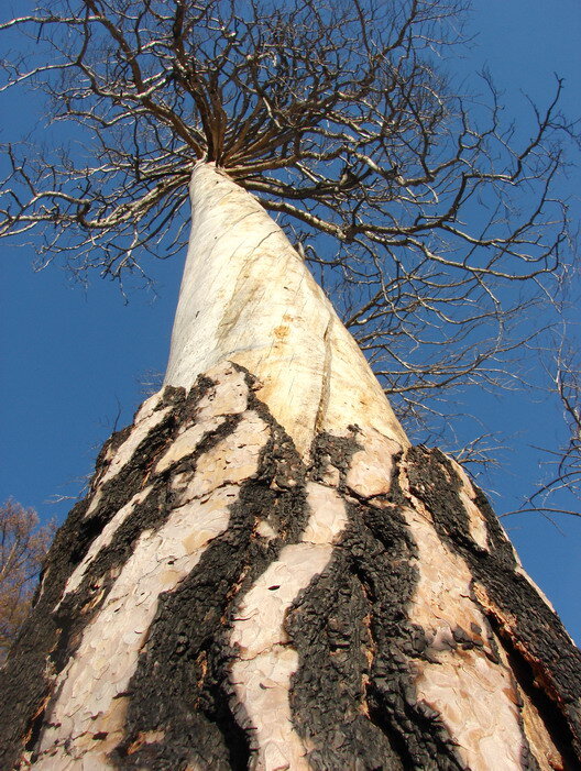 ...без комм...