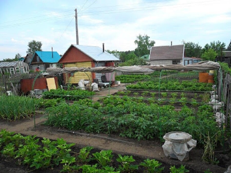 Дачников обяжут следить за своими соседями – новые законы 