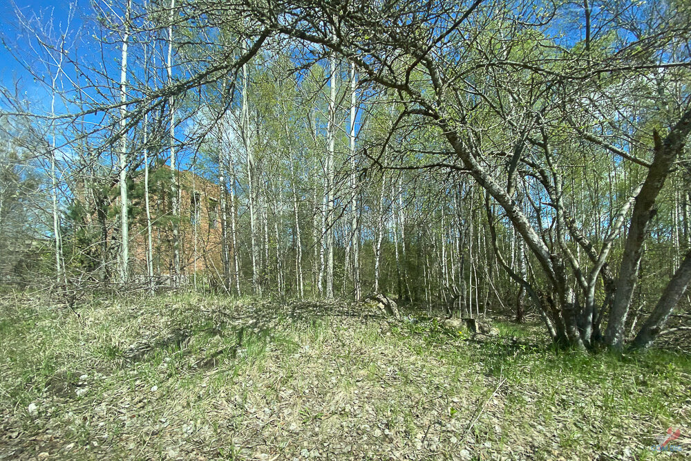 Окрестности брошенной войсковой части. 