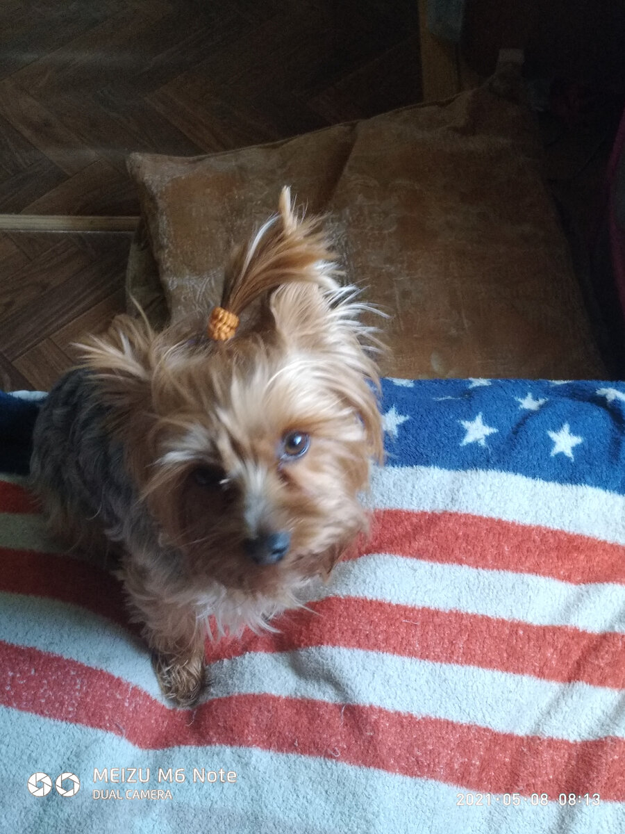 Я вчера промок чуть-чуть,дождик был такой,прям жуть...