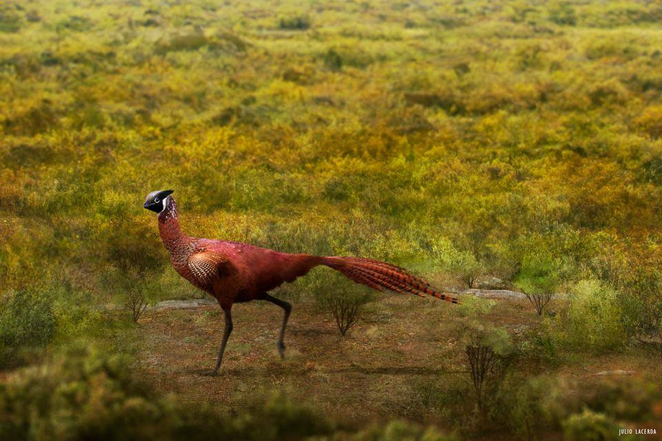 Пацаны, кто выпустил петуха в мир динозавров? 