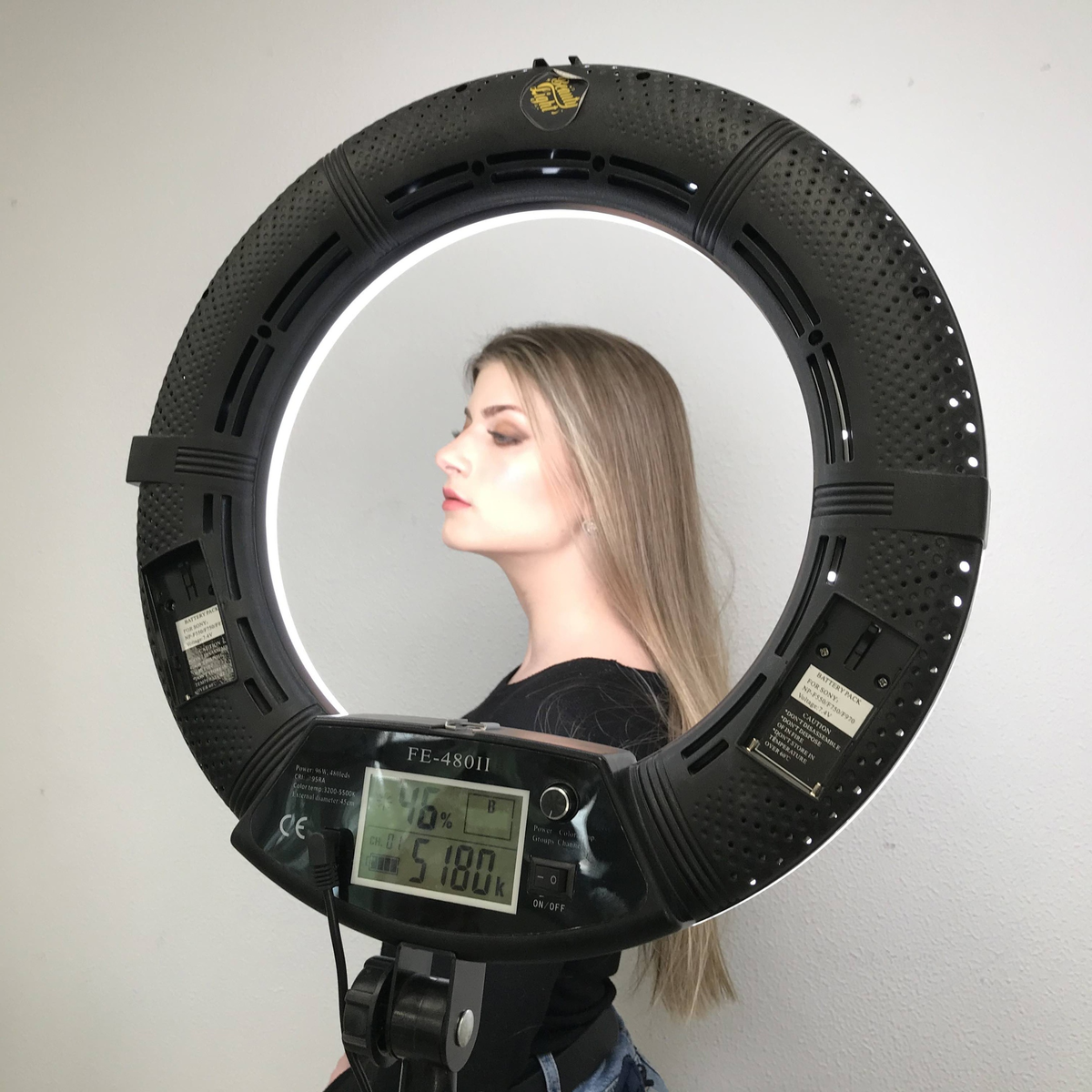 Одна из моих последних работ