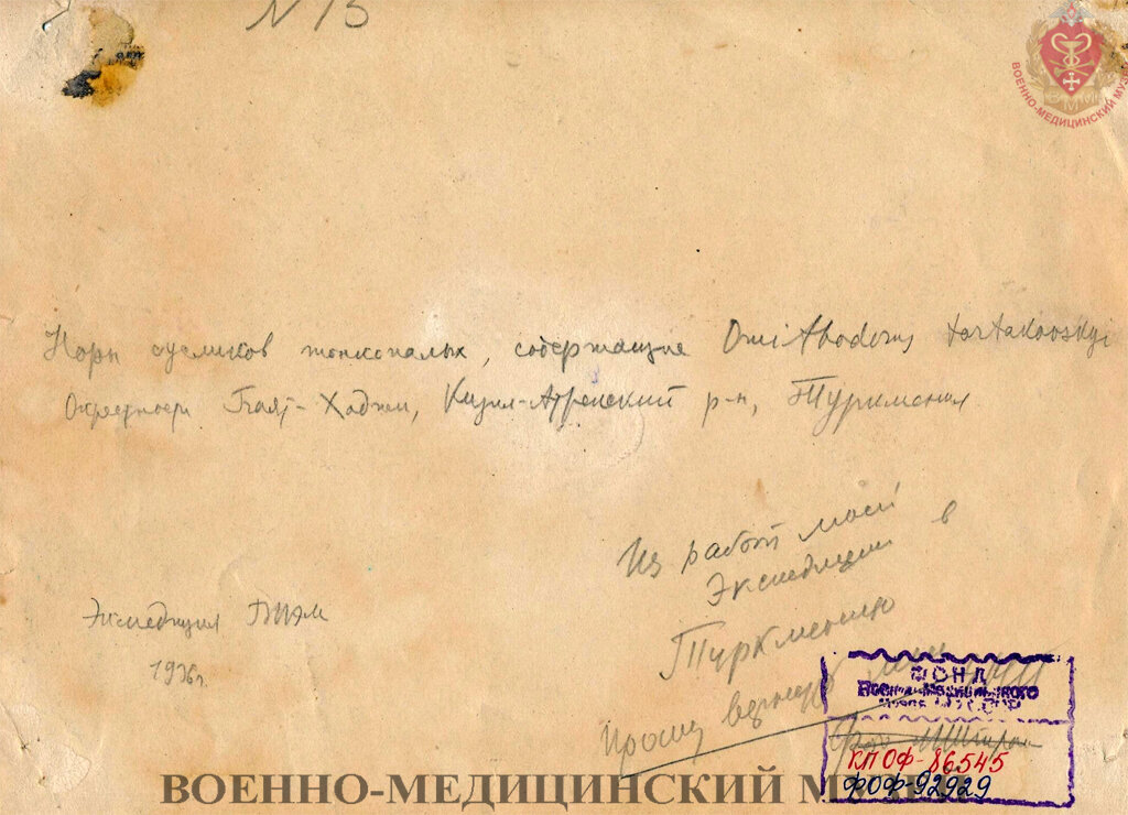 Обратная сторона фотографии из архива Е.Н. Павловского с комментариями; из коллекции Военно-медицинского музея