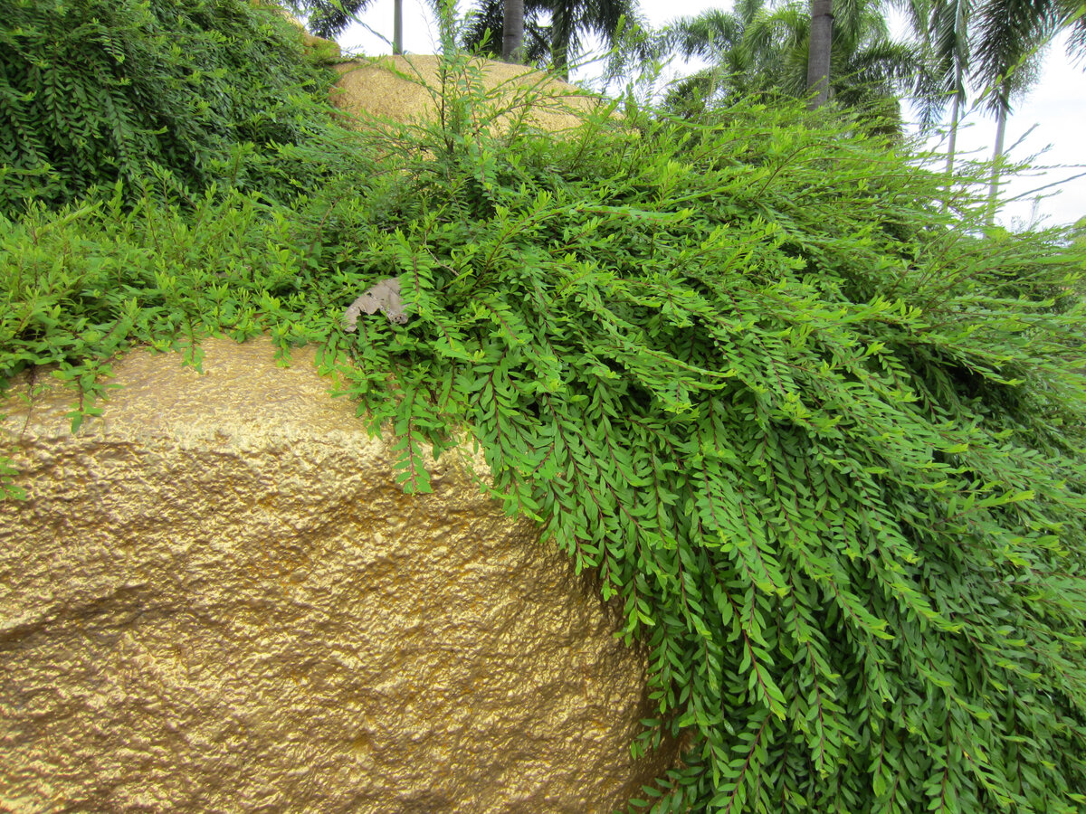 Красиво? Или натуральный камень плюс зелень смотрелись бы лучше?