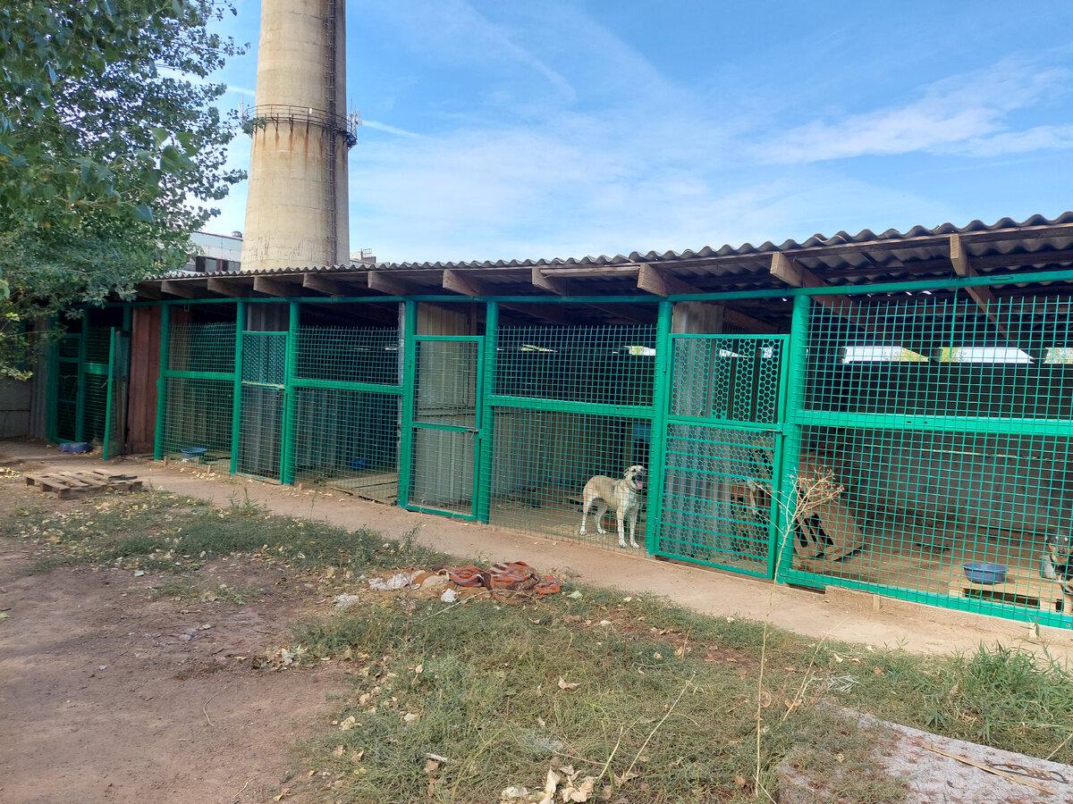 Это те самые вольеры, которые нуждаются в освещении.