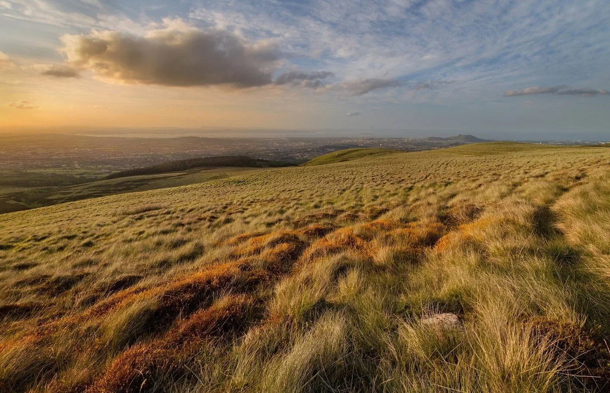 сиять степь. сиять степь. саратов степи. степь западный казахстан. кулундинская степь солончак.