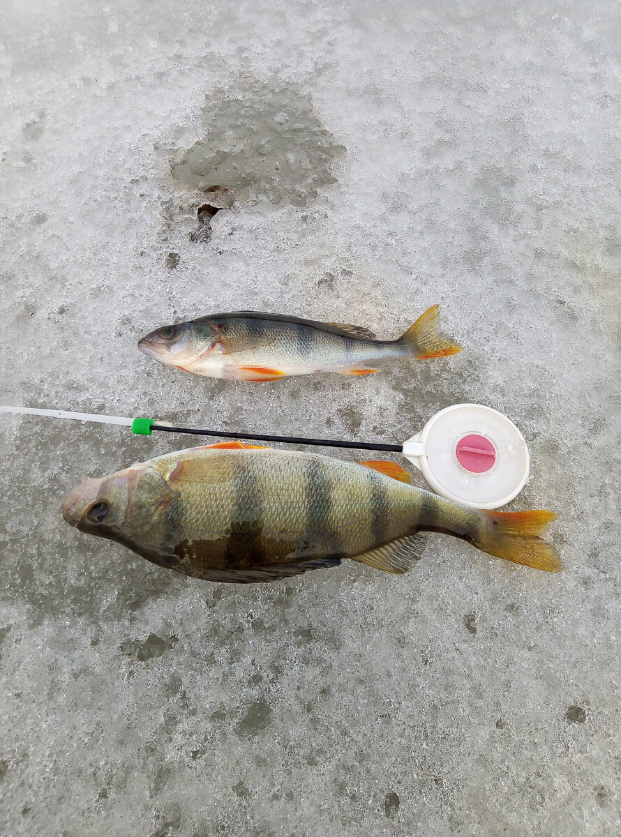 фотоматериал из личного архива