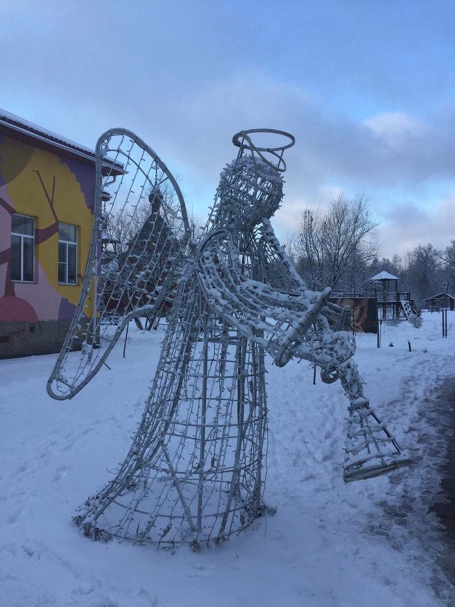 Фото сделано автором и принадлежит автору 