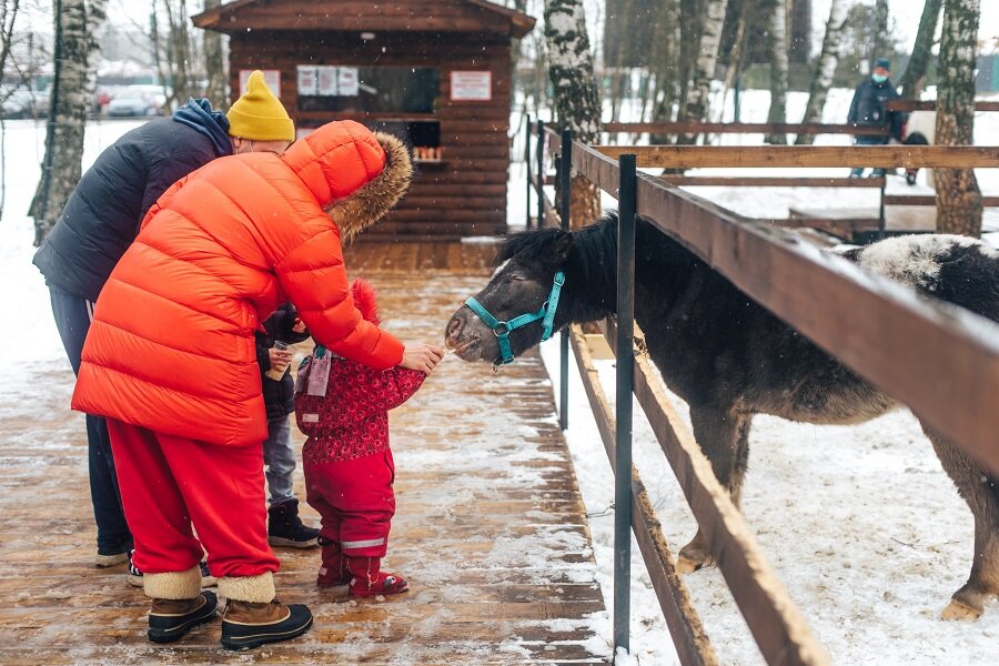 На мини-ферме можно купить специальный корм для животных, чтобы не везти с собой из дома