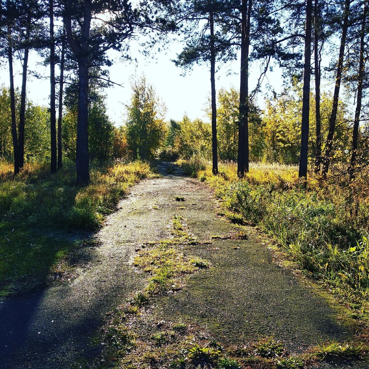 САМООПРЕДЕЛЕНИЕ, УСПЕХ В СВОЕМ ДЕЛЕ🏂👍 Сейчас, в наше время, когда появилось большое количество форм и способов заработка, у нас у людей, часто возникает вопрос- а что я могу делать ещё, а чем я ещё могу заработать, а есть ли ещё способы заработка, через что могут прийти деньги!? 💸
И я думаю, это очень хорошо.
Но не нужно отрываться от земли и бросать то накопленное, что есть, что сформировано за долгие годы труда.
Быть разумными в этом.
Если интересно что-то ещё, просто начать учиться, посещать матер-классы, уроки, занятия, читать по этой теме, но в качестве хобби. Когда есть возможность и желание.
И вот этот вот период и может стать тем периодом, когда вы можете понять интересно ли вам это или нет, нужно продолжать или нет.
Главное понять есть ли устойчивый интерес.
Для того, чтобы хобби переросло в стабильное дело и, тем более, в стабильный доход- нужно много труда, позитивные мысли об этом и , конечно же, знание и понимание, что что-то может не получаться, застопориваться, идти наперекосяк.
Это не время для того, чтобы бросать, если вы уверены в своем деле.
Это время проверки на прочность и время роста.
После прохождения этого этапа скорее всего вы научитесь новым способам ведения дела, найдете доп.информацию и доп.пути преодоления этих проблем, трудностей, пообщаетесь, проконсультируйтесь со многими людьми, т.е. расширите свое знание и опыт по этому предмету.
И это однозначно полезно!👍✔
Вы стали шире, опытнее, ещё увереннее, ещё сильнее и, слава богу, не бросили.
Так обычно бывает даже по лёгким и гармоничным направлениям. Что уж говорить о напряжённых?!
Хороша старая поговорка: "терпение и труд все перетрут".
Мечтать надо, представлять надо, летать в облаках иногда тоже надо, но также нужно действовать, принимать решения, внедрять новое, расширять знания и идти вперёд, перестать сомневаться. Сомнения поглощают очень много энергии. Интеллектуально знаем, понимаем и не тратим эту энергию. Она нам понадобиться на нужные дела и действия.
Всем удачи и реализации!!!🙏🌺☀

#предназначение#реализация#путь_души#астрология#формула_души#рост#творчество