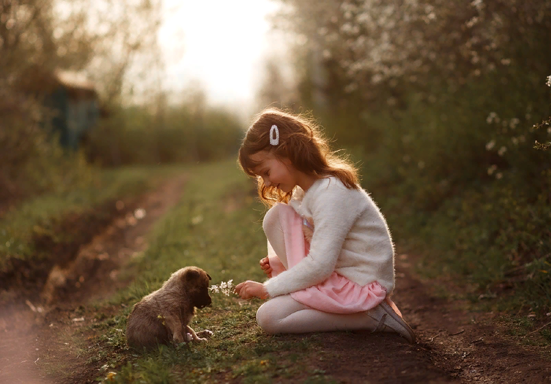 Случайно подобранное фото из свободного доступа сети интернет