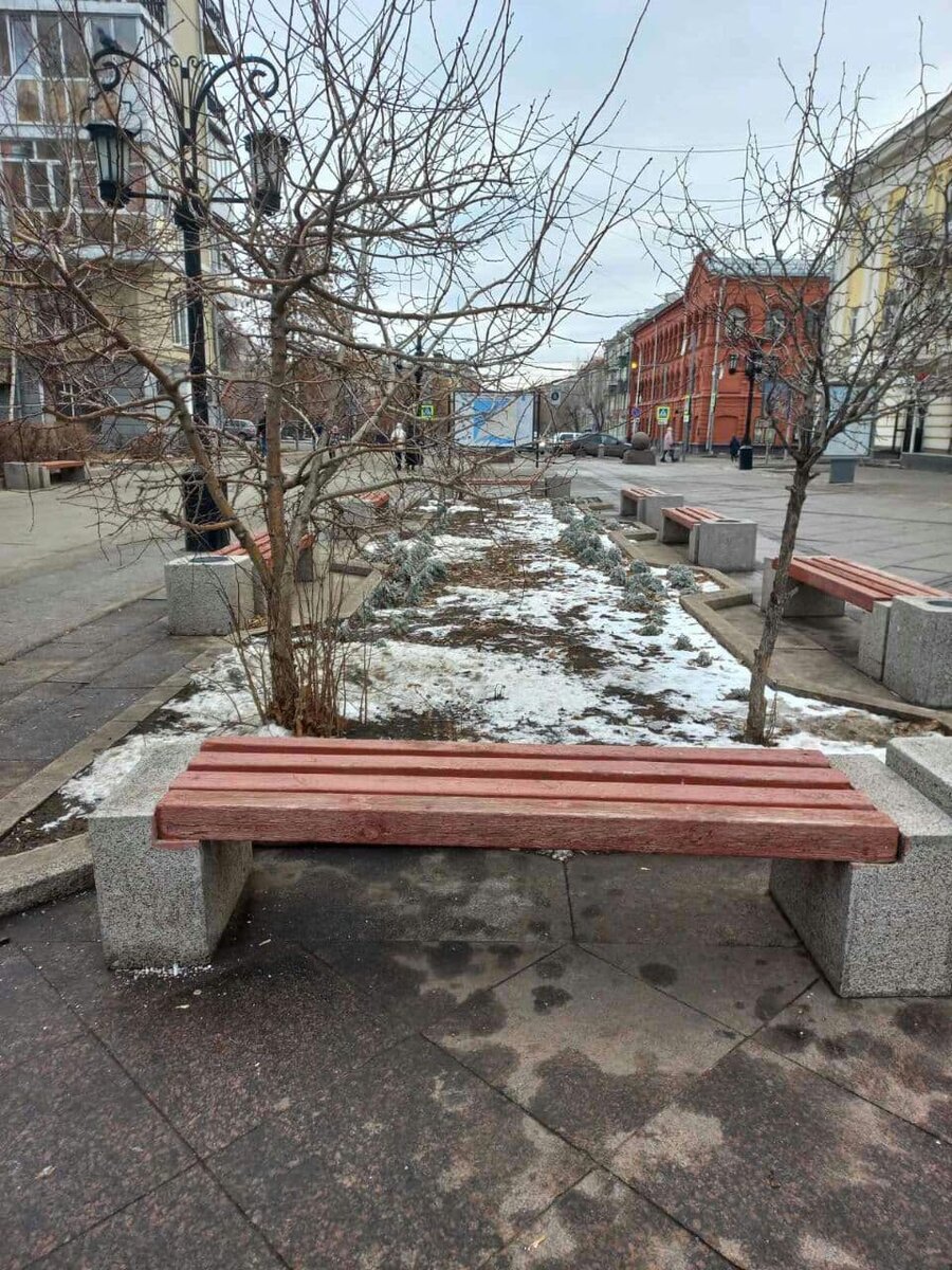 Фото автора.