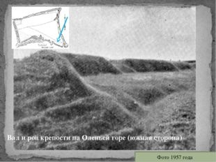 Дерево-земляная крепость на Оленьей горе