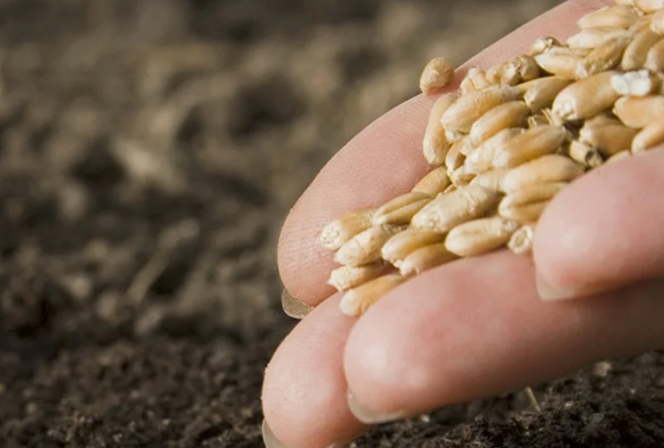 Из открытых источников.