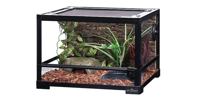 Для содержания эублефара прекрасно подойдет террариум Repri-Zoo 45x45x32 см (арт. 83635016). Удобная распашная дверца облегчает доступ внутрь для ухода за рептилией. 