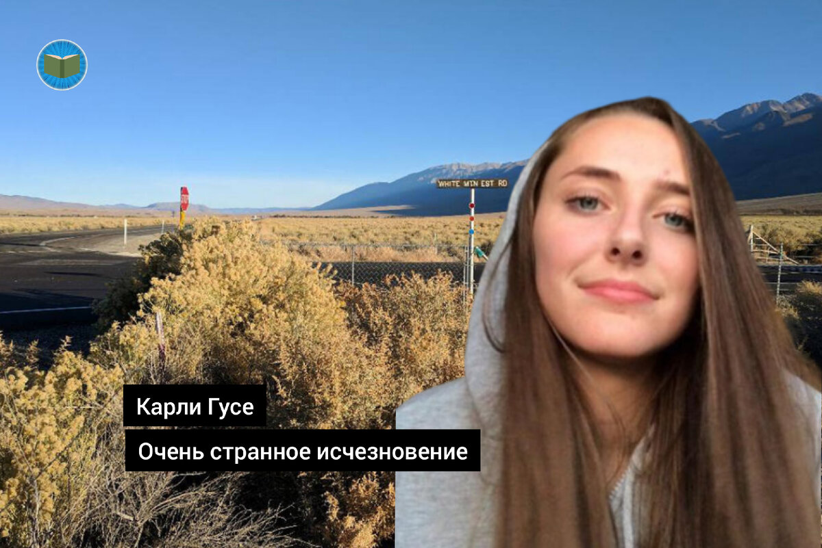 Иллюстрация автора