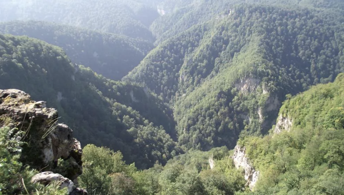 В ущелье росли. Краснодарский край каньон Гуамское ущелье. Апшеронск Краснодарский край горы.