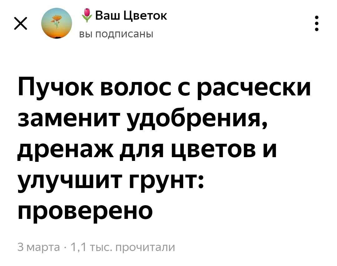 Скрин статьи Дзен-канала