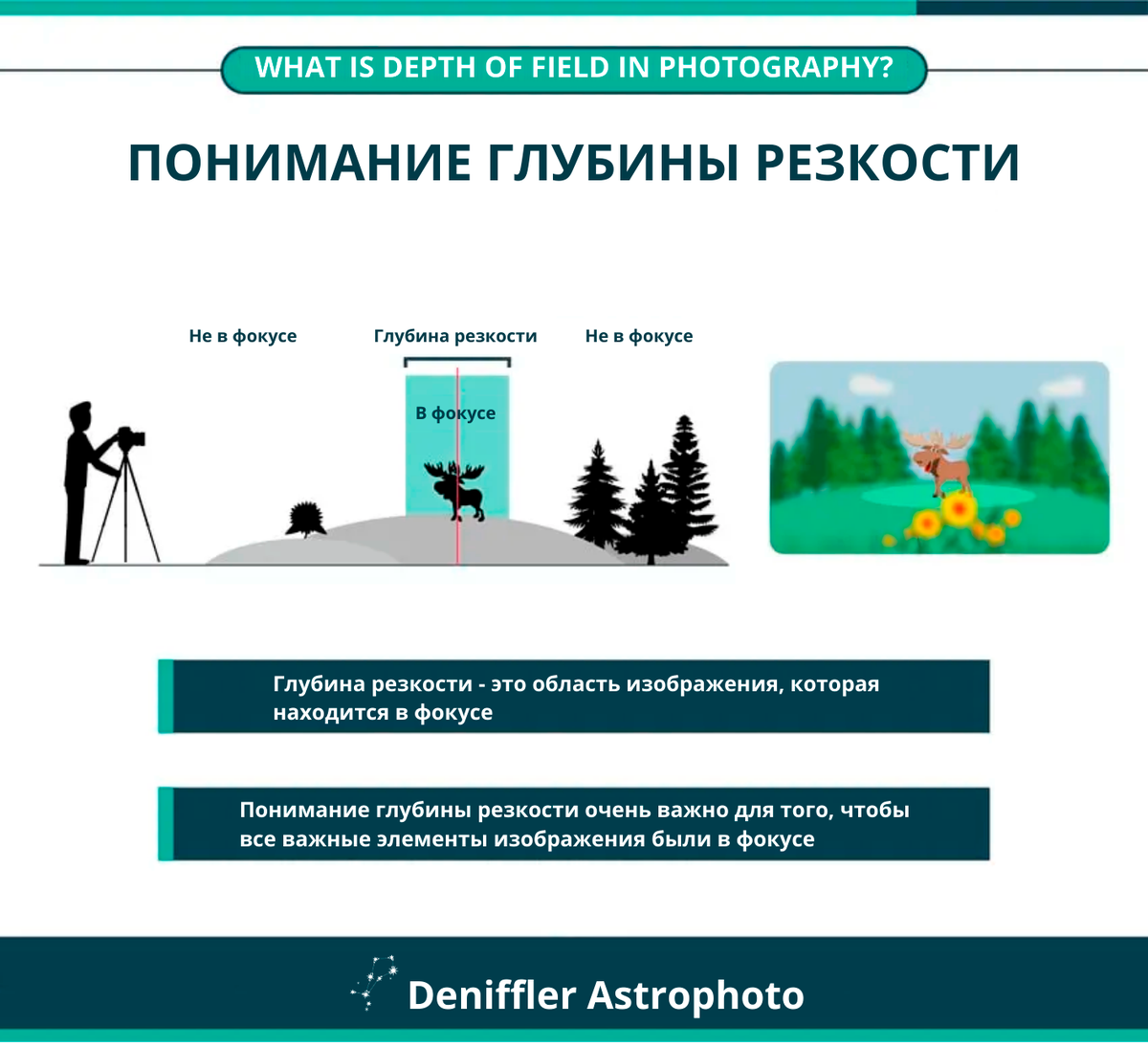 Глубина резкости в цифровой фотографии