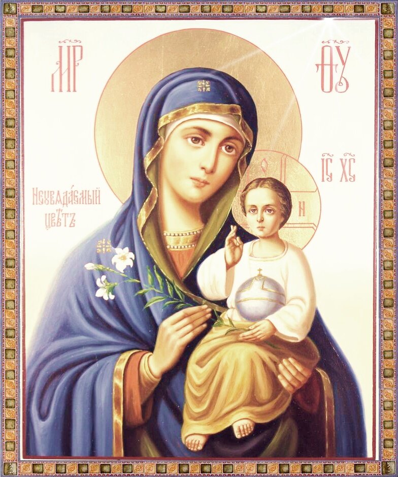 с Яндекс.картинки