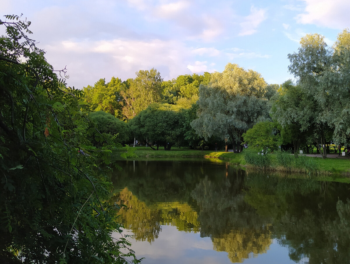 Кадр из личного архива. Лето 2020