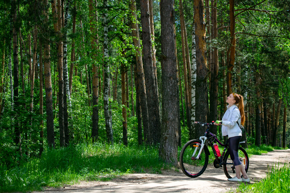 Раменский лес. Велосипедные прогулки. Фотография автора статьи.