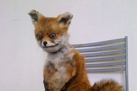 Картинка с Яндекс.Картинки