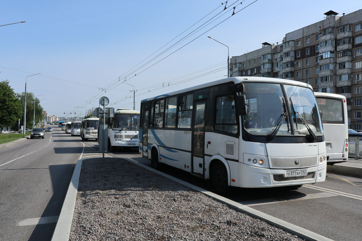Самая известная выделенная полоса для наземного транспорта в России. Так ли хороша улица Щорса в Белгороде?
