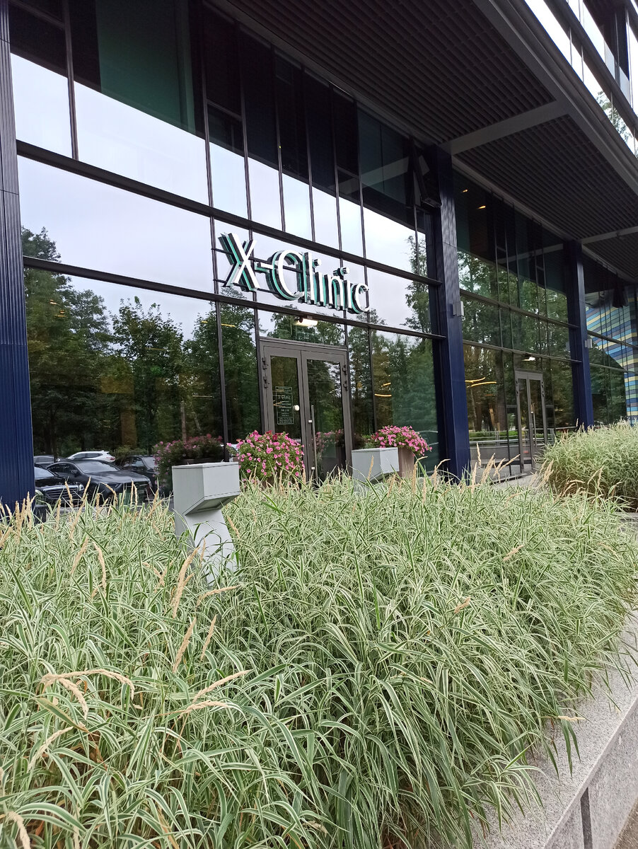 X-Clinic