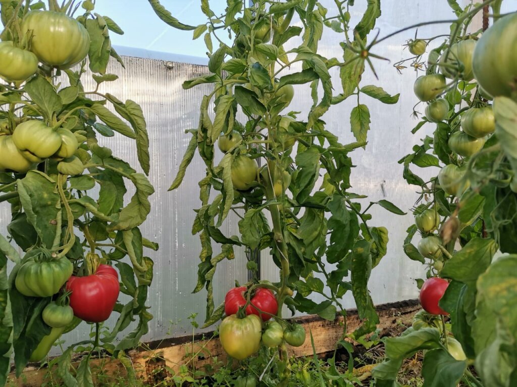 Фото: novyefoto.ru