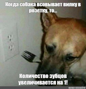 Интересный факт