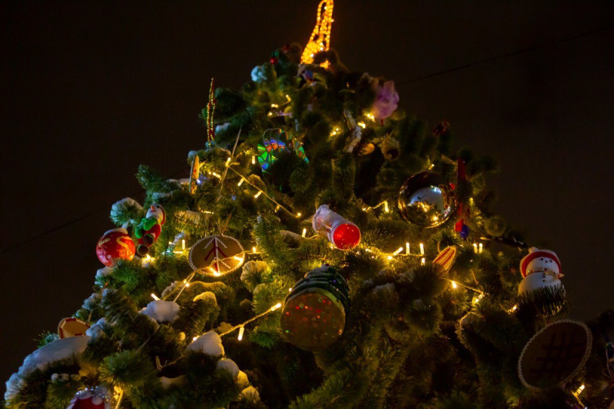    Жителям столицы рассказали о программе «Елки мэра Москвы - 2023»