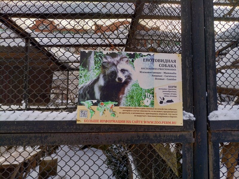 Работа зоопарка пермь. Кладбище зоопарк Пермь.