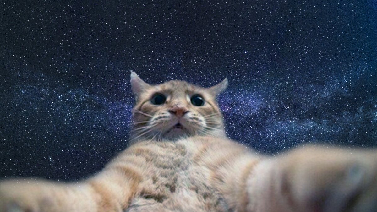 Привет, с вами Джонни Кэтсвилл, специально для канала "Философия сноба"