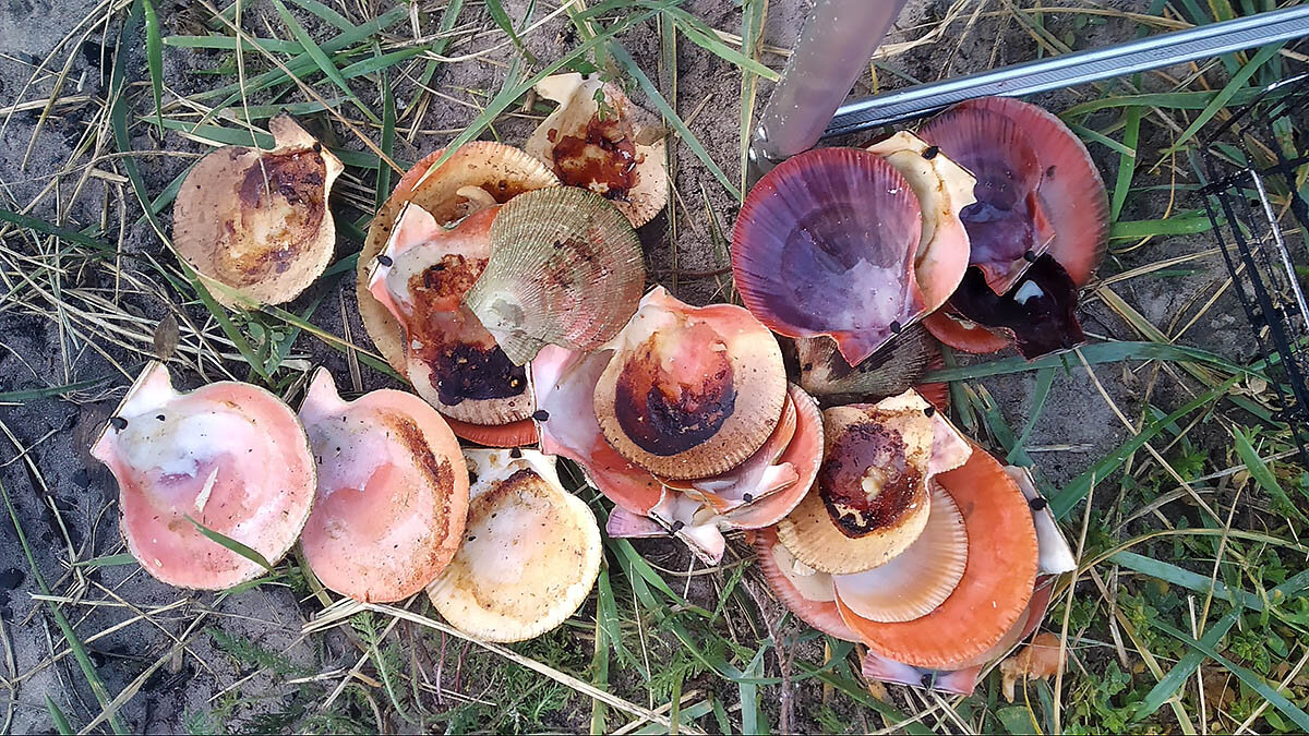 Шкурки ) Или обертки...