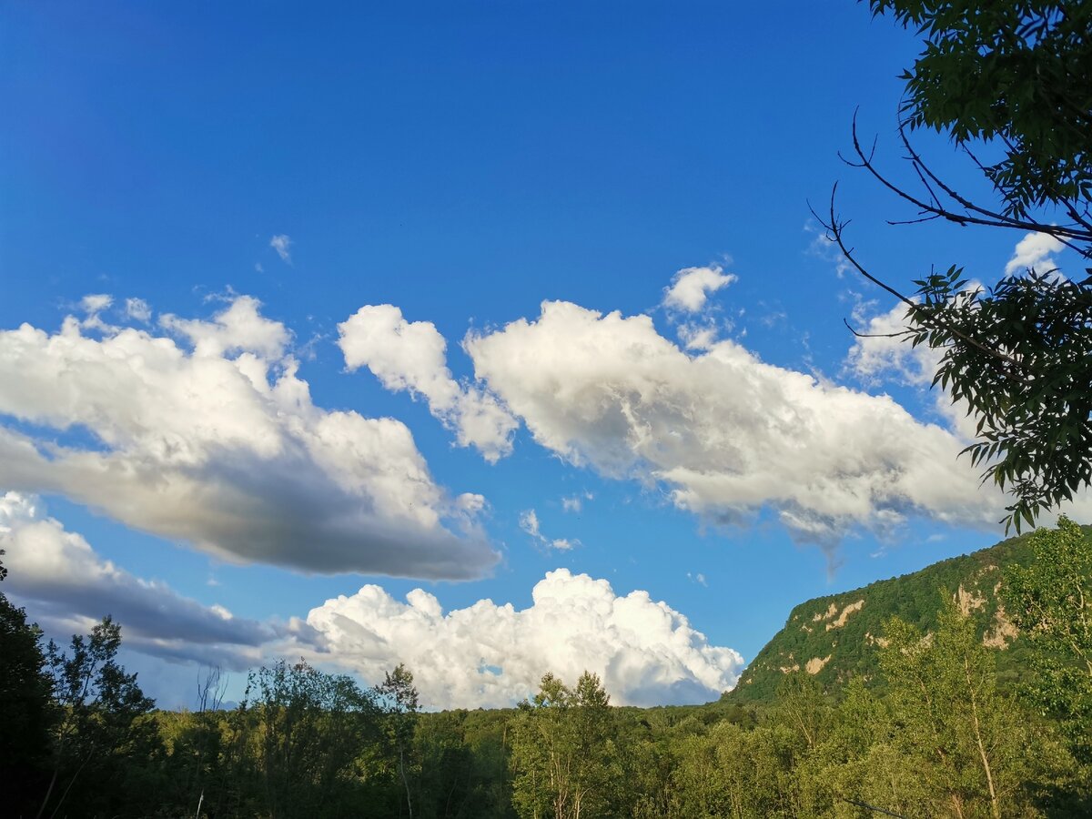 Фото Алексей  Алхименко