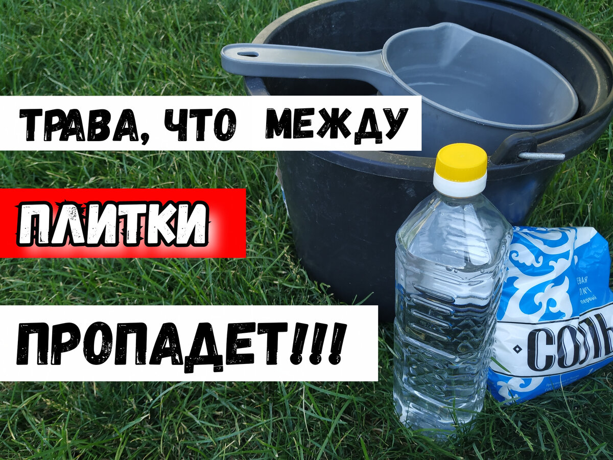 Источник: фото автора